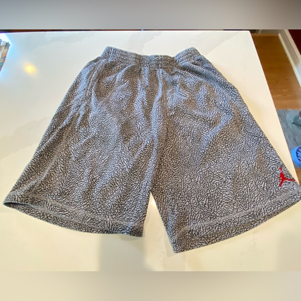 Vintage Air Jordan Own the Elephant basketball shorts fleece XL